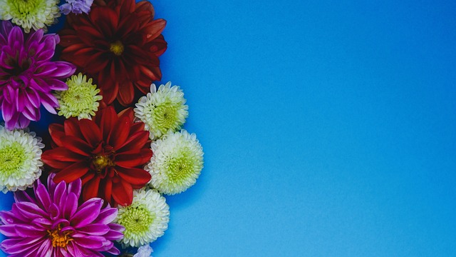 在于两队的 在于两队的