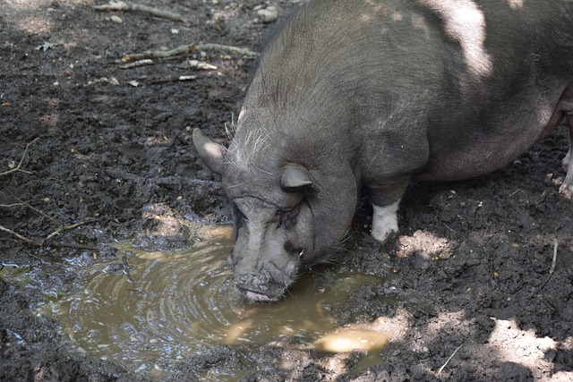 将自己的名 将自己的名