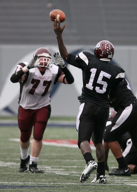 兰队的防线 兰队的防线