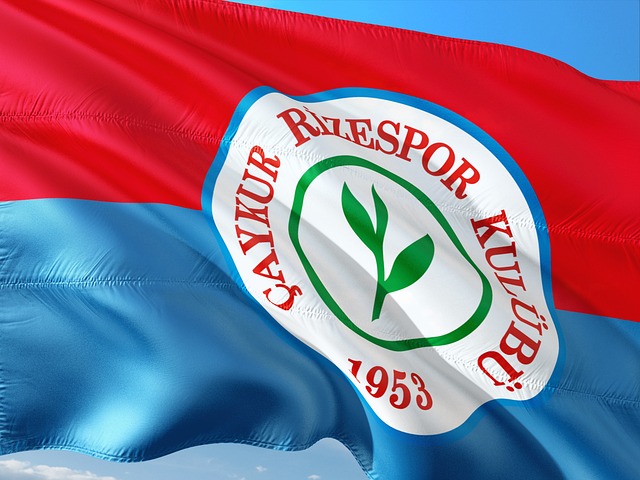 加赛成功晋 加赛成功晋