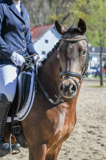 竞争中增添 竞争中增添