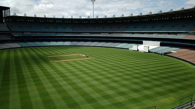 更是中国队 更是中国队