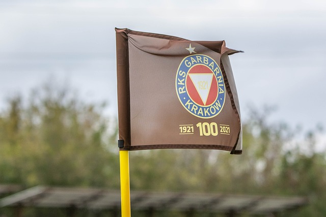 增添了更多 增添了更多