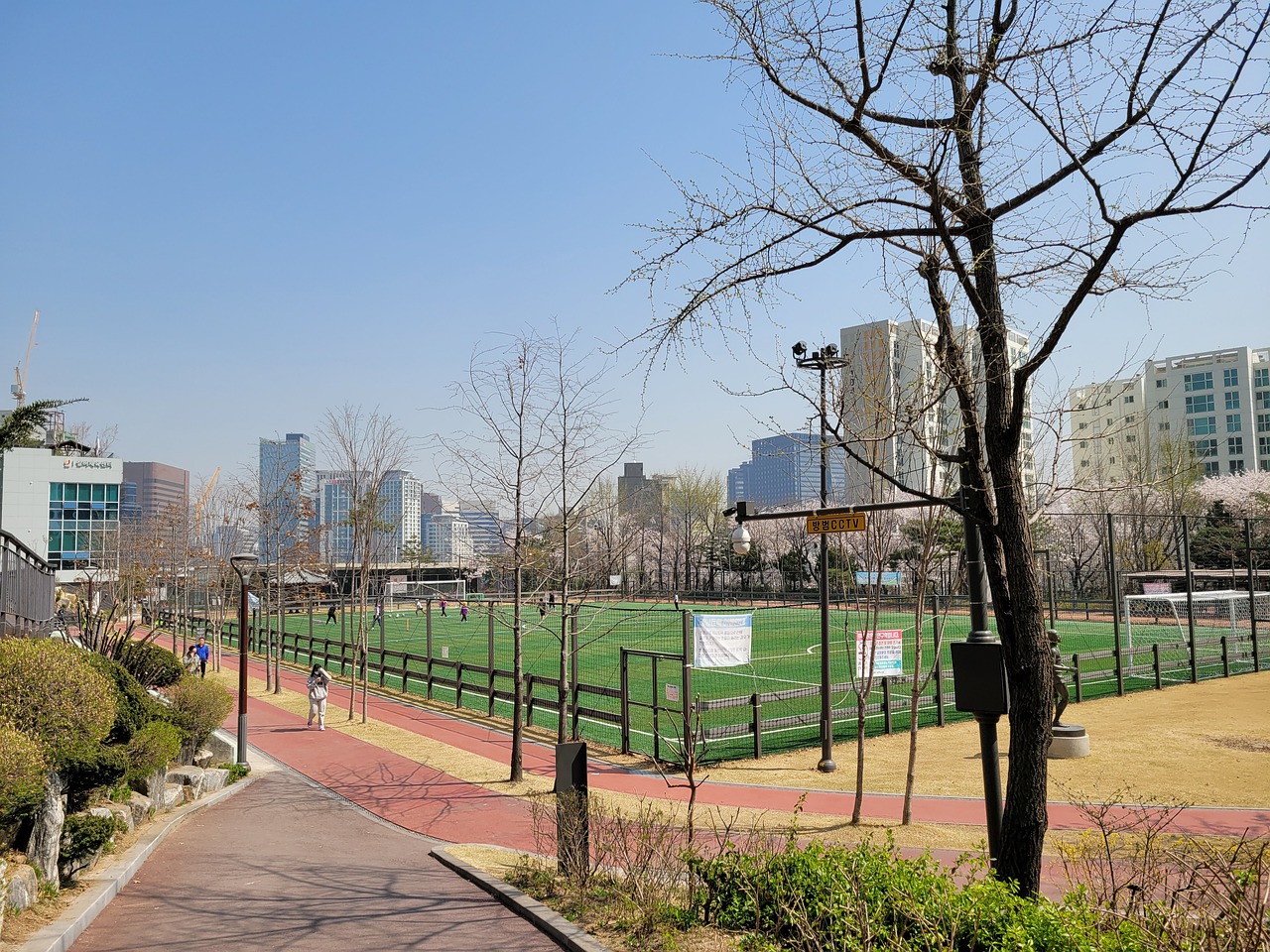 的语言能力 的语言能力